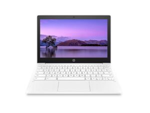 HP Essential Laptop