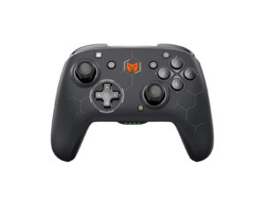 Nintendo Controller