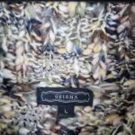 Geisha Womens Multicolor Knit Sweater Size L Chunky Acrylic Blend Long Sleeve